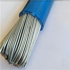 王澤章 中國通訊電纜行業的先驅與創新者